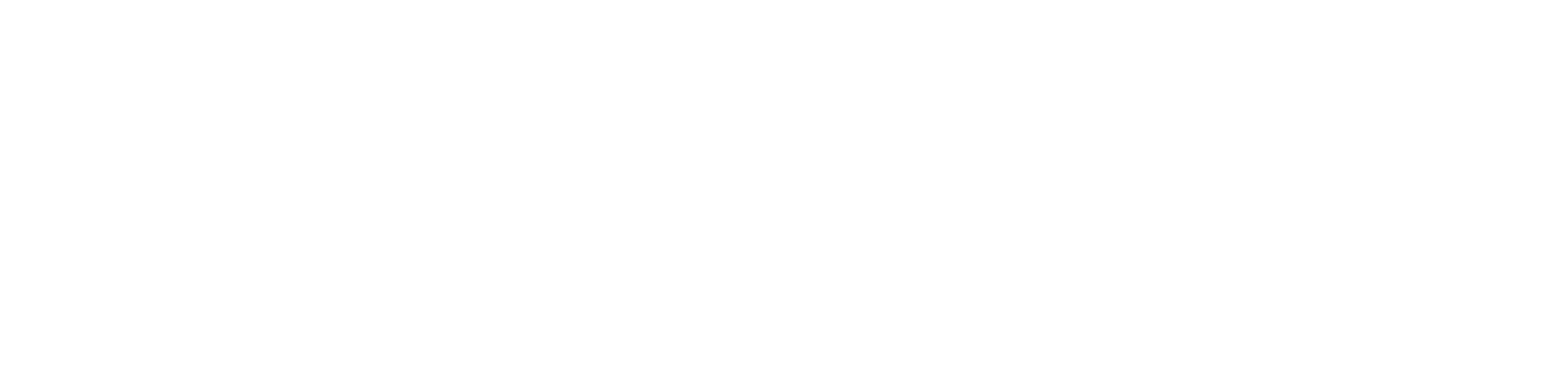 Repórter Guaibense