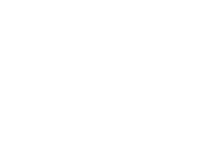 Themis Leão